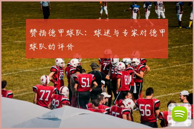 赞扬德甲球队：球迷与专家对德甲球队的评价