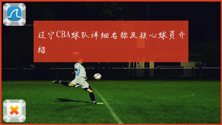 辽宁CBA球队详细名称及核心球员介绍