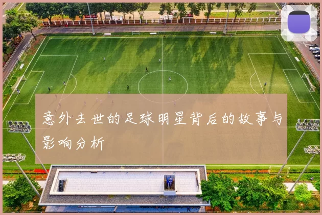 意外去世的足球明星背后的故事与影响分析