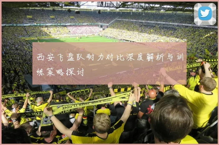 西安飞盘队耐力对比深度解析与训练策略探讨