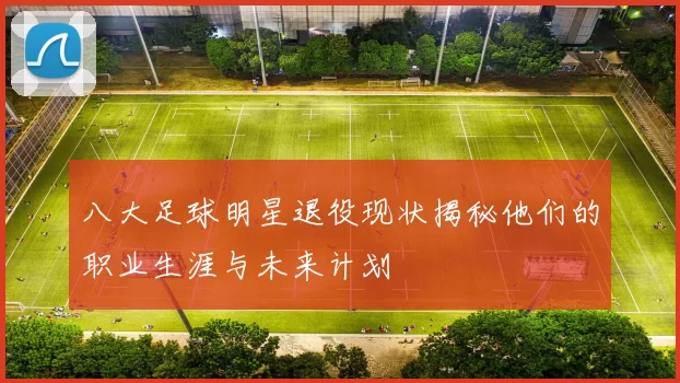 八大足球明星退役现状揭秘他们的职业生涯与未来计划