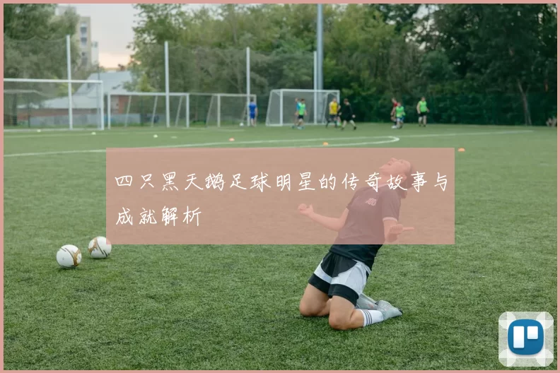 四只黑天鹅足球明星的传奇故事与成就解析