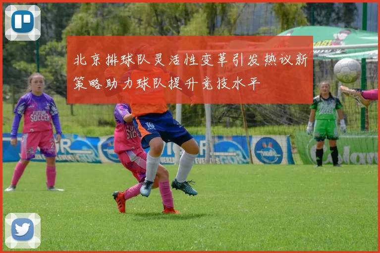北京排球队灵活性变革引发热议新策略助力球队提升竞技水平