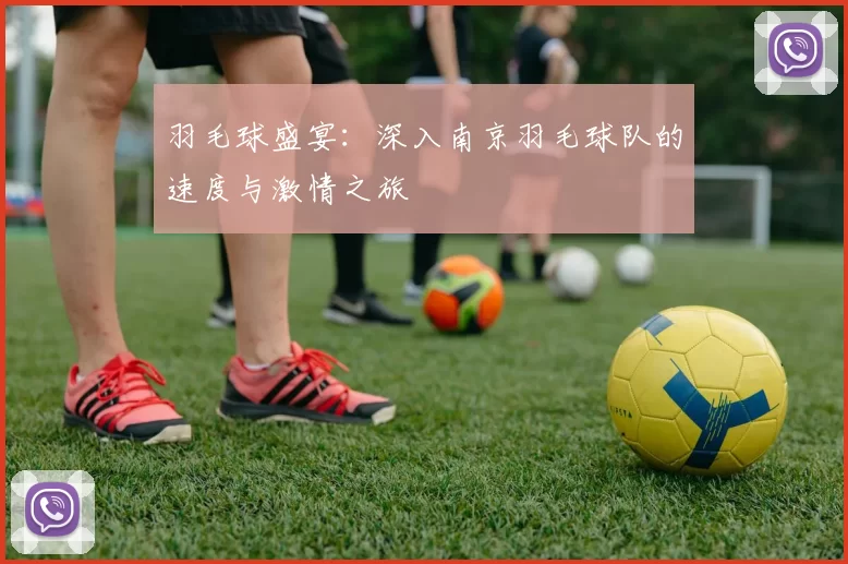 羽毛球盛宴：深入南京羽毛球队的速度与激情之旅