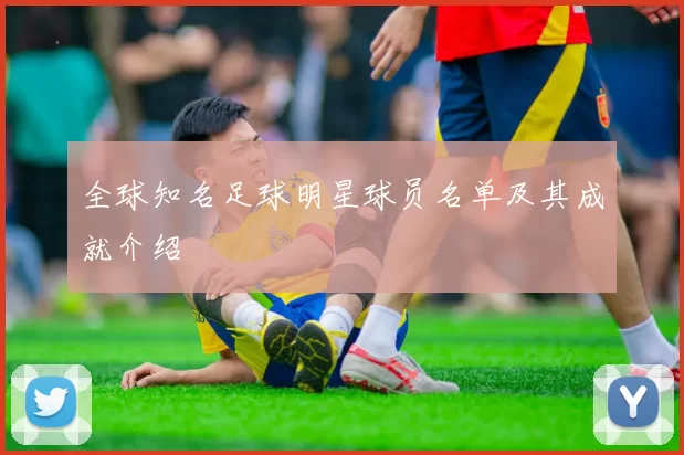 全球知名足球明星球员名单及其成就介绍