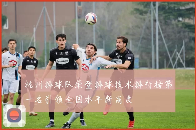 杭州排球队荣登排球技术排行榜第一名引领全国水平新高度