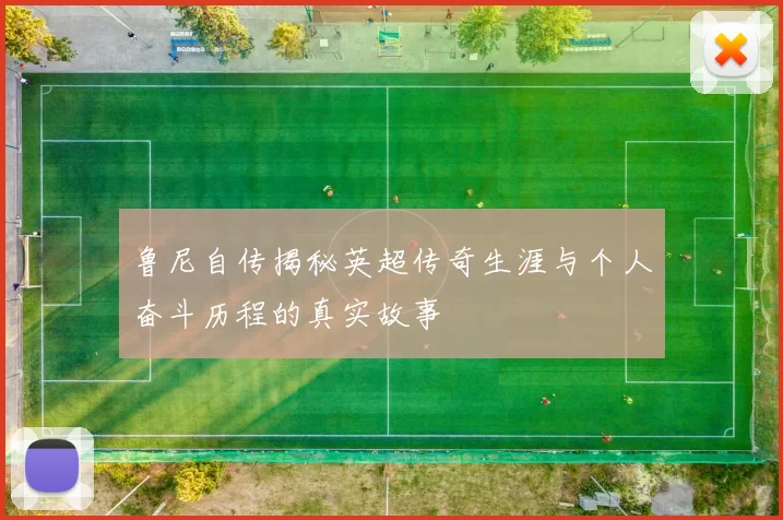 鲁尼自传揭秘英超传奇生涯与个人奋斗历程的真实故事