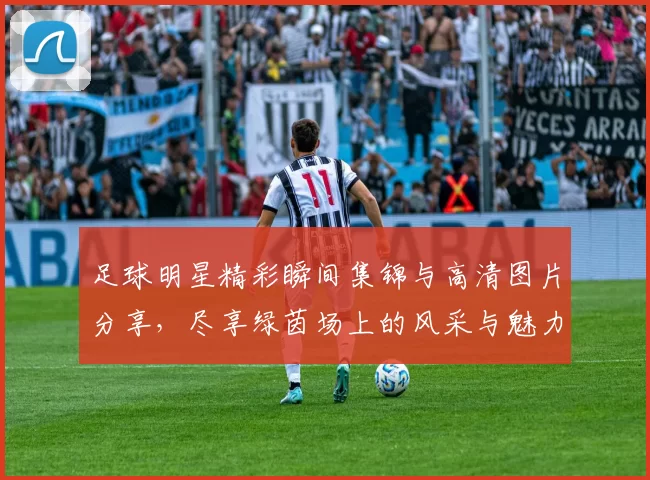 足球明星精彩瞬间集锦与高清图片分享，尽享绿茵场上的风采与魅力