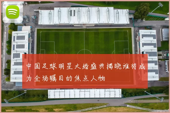 中国足球明星大婚盛典揭晓谁将成为全场瞩目的焦点人物
