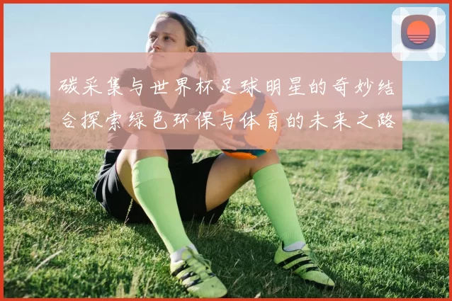 碳采集与世界杯足球明星的奇妙结合探索绿色环保与体育的未来之路
