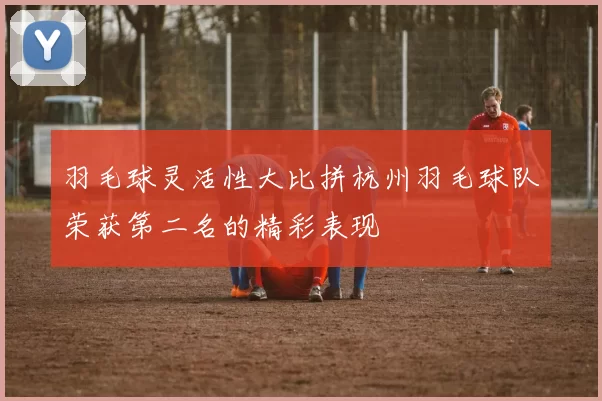 羽毛球灵活性大比拼杭州羽毛球队荣获第二名的精彩表现