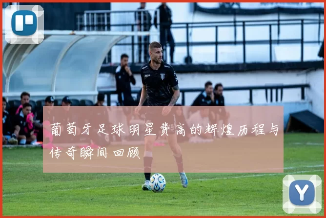 葡萄牙足球明星费高的辉煌历程与传奇瞬间回顾