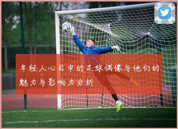 年轻人心目中的足球偶像与他们的魅力与影响力分析