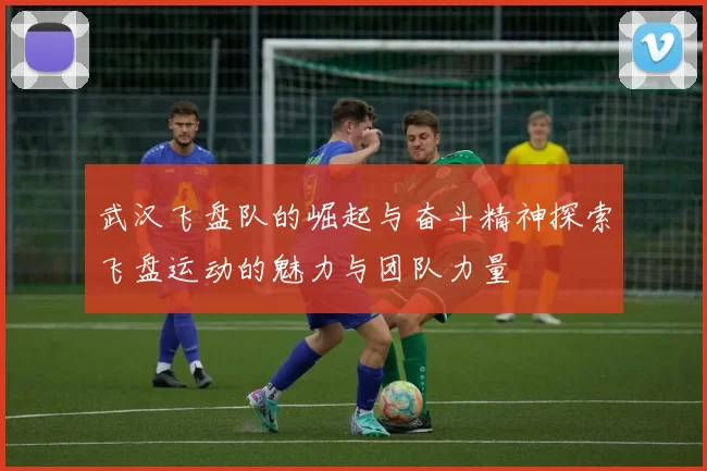 武汉飞盘队的崛起与奋斗精神探索飞盘运动的魅力与团队力量