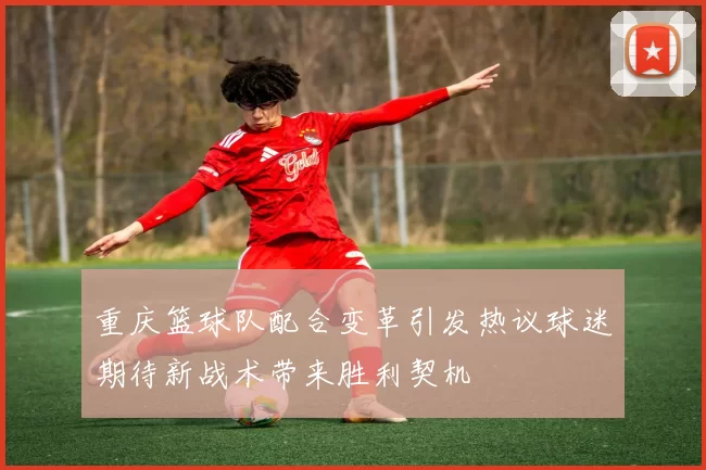 重庆篮球队配合变革引发热议球迷期待新战术带来胜利契机