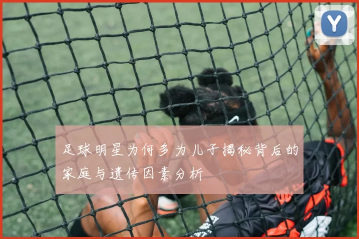 足球明星为何多为儿子揭秘背后的家庭与遗传因素分析