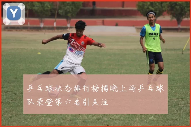 乒乓球状态排行榜揭晓上海乒乓球队荣登第六名引关注