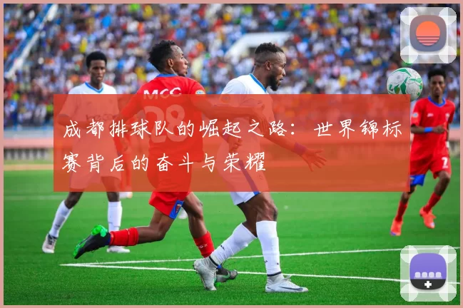 成都排球队的崛起之路：世界锦标赛背后的奋斗与荣耀
